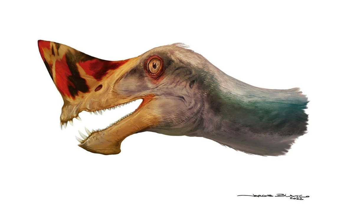 Пачагнат, портретная реставрация.