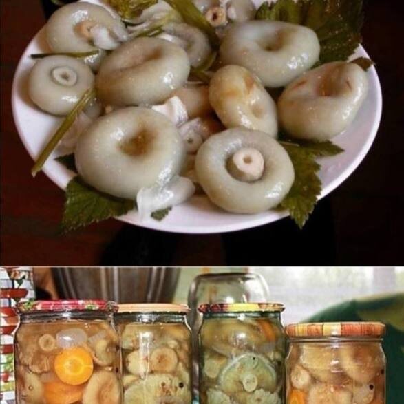 Соленые грузди как у бабушки 