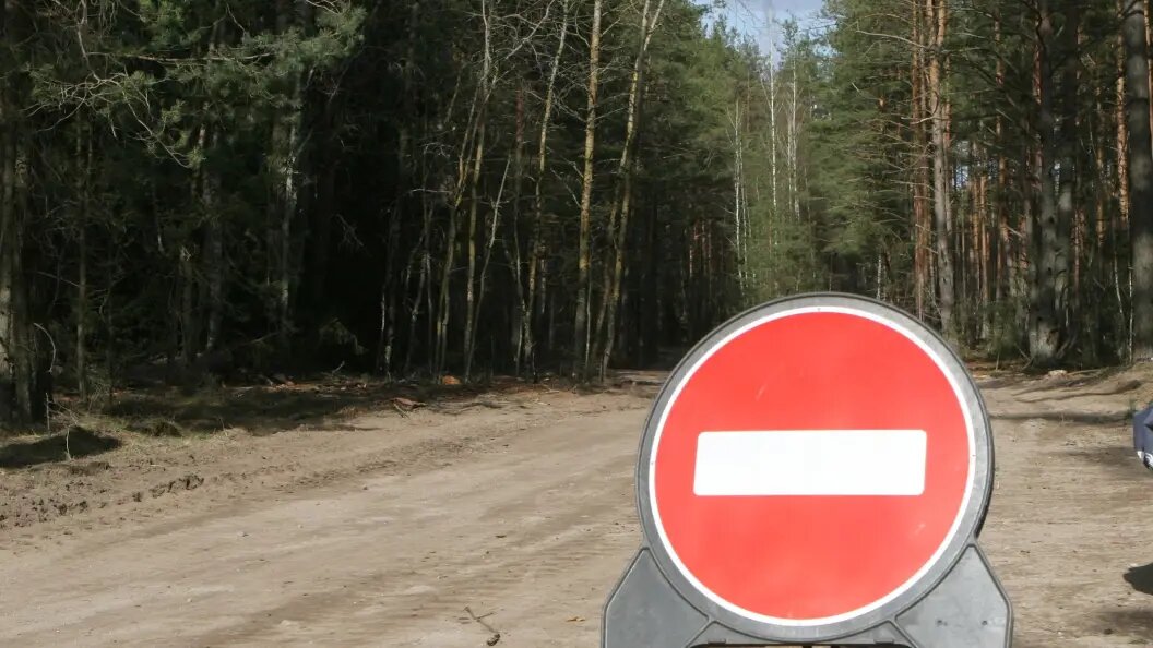    Фото: IMAGO/Darius Mataitis/Globallookpress