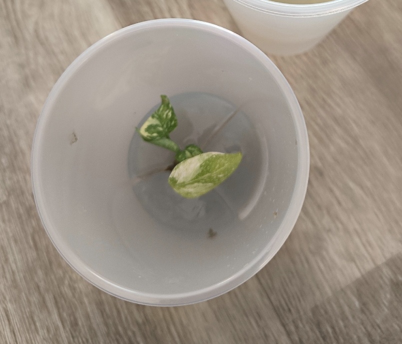 Все фотографии в статье авторские