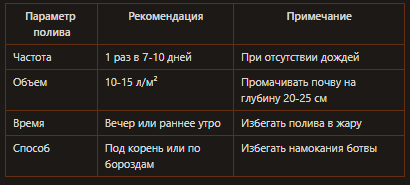 Уход за морковью