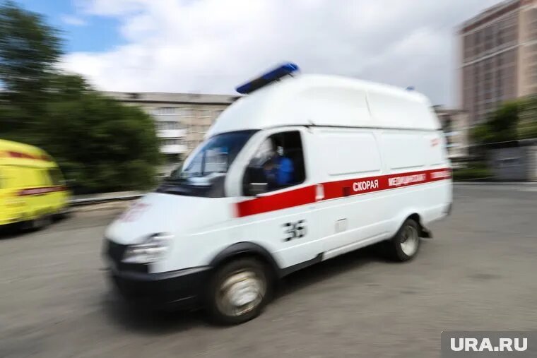 У молодой женщины на 27 неделе беременности выявилась патология почек
Фото: Екатерина Сычкова © URA.RU