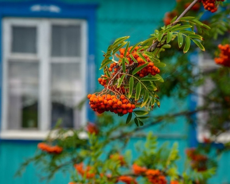     В Курской области 17 августа ожидаются дожди, грозы и до +29 градусов