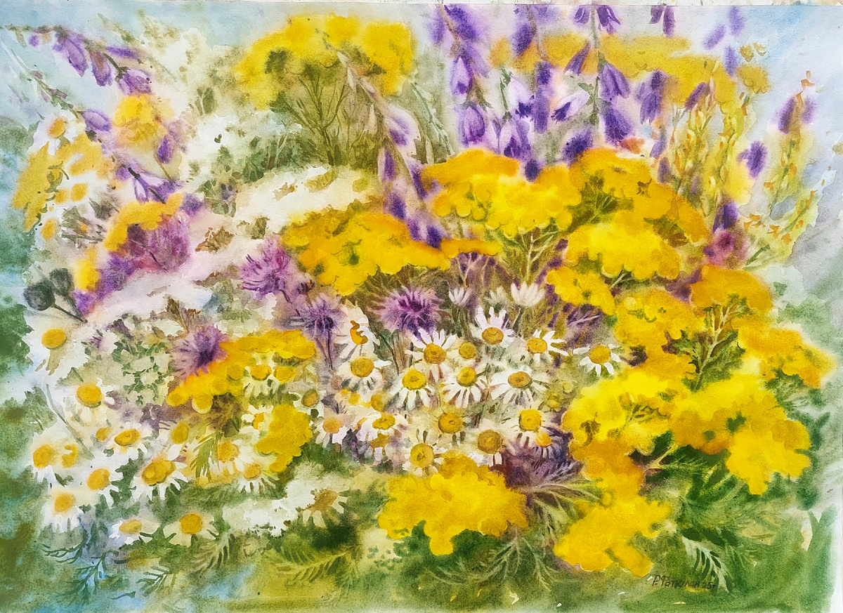 Римма Фаткулан. Букет с пижмой. Бумага, акварель, 60*80 см. 