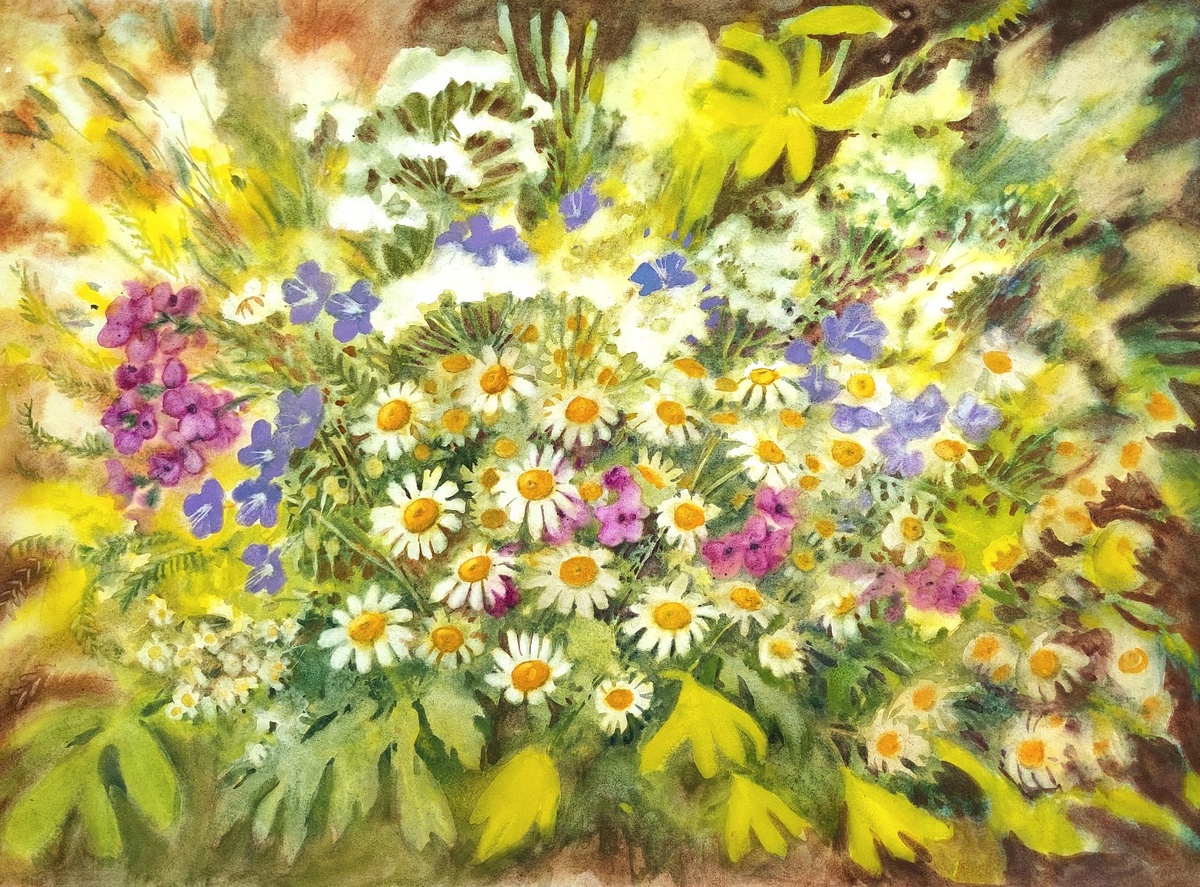 Римма Фаткулан. Ромашки. Бумага Акварель, 60*80 см