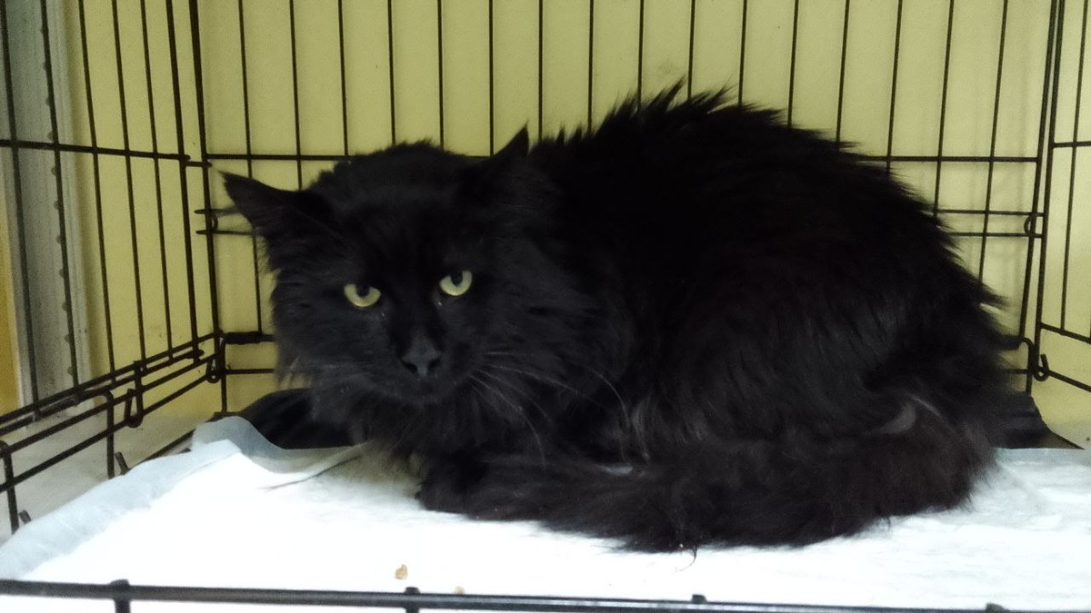 Флинт не доволен, что его до сих пор не забрали домой