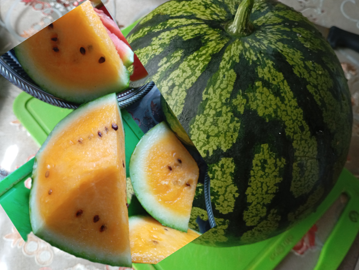 Арбуз Лилану свитгло фото автора.