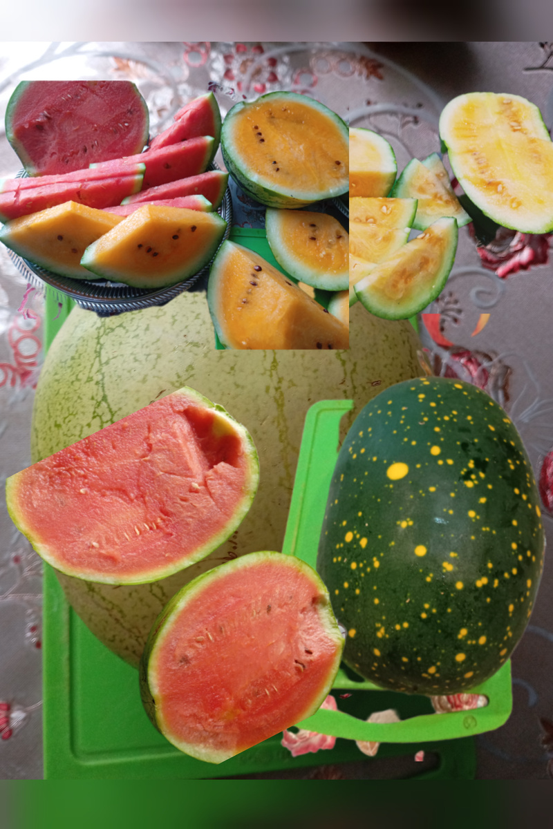 Арбузы фото автора.
