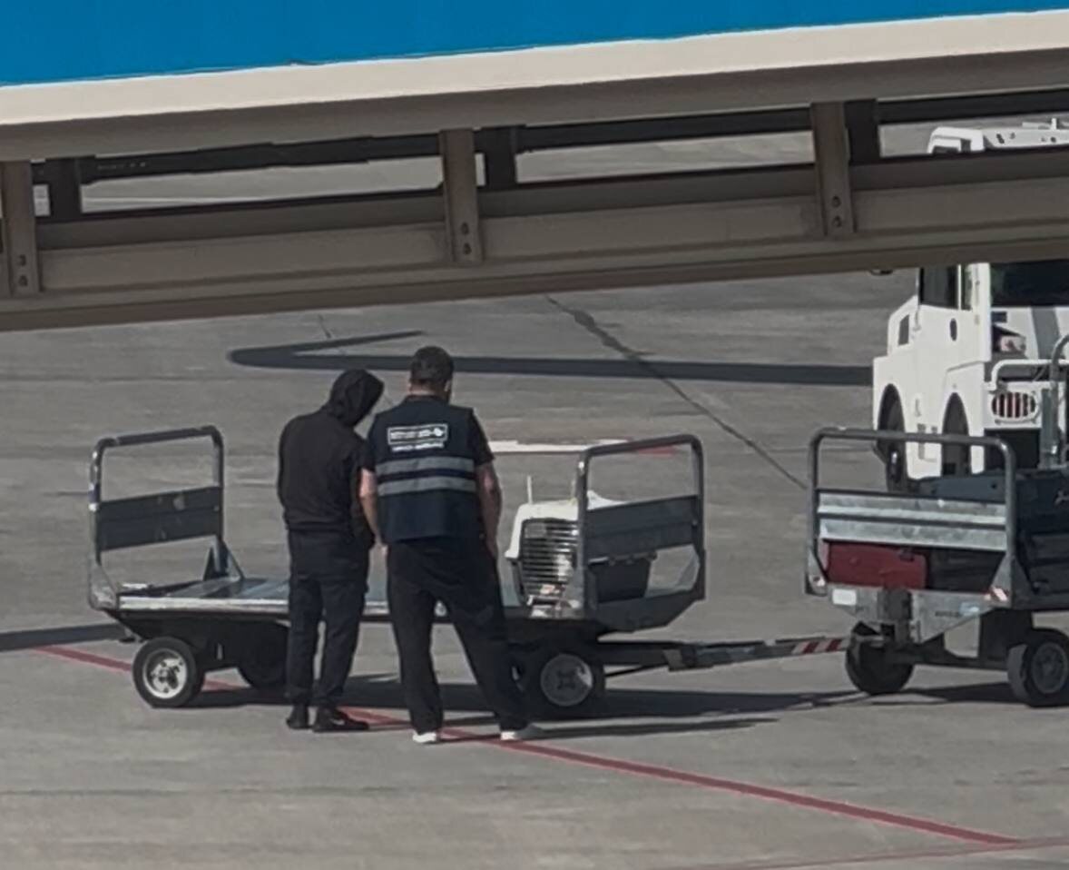 Вот так внимательно почти в каждом аэропорту рассматривали переноску с нашей пушистой