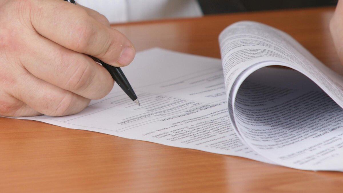 Фото: Aleksey Smyshlyaev/globallookpress.com