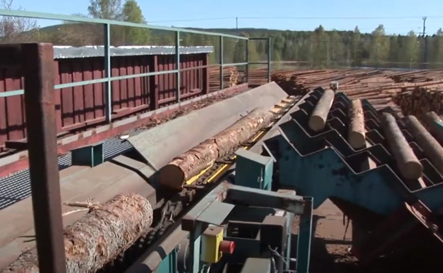 Фото: Prt Scr youtube.com / René Wiesmann