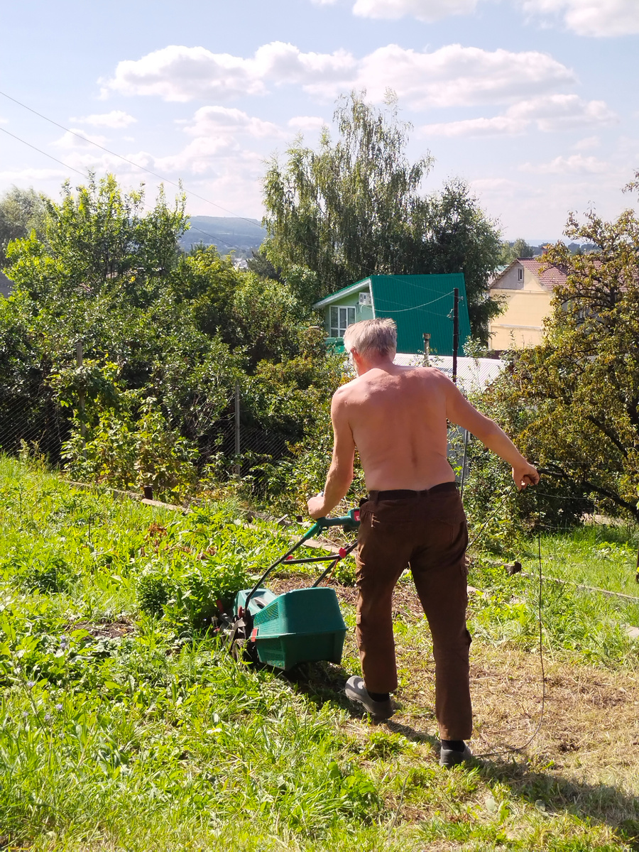 Косить ушёл от греха подальше.