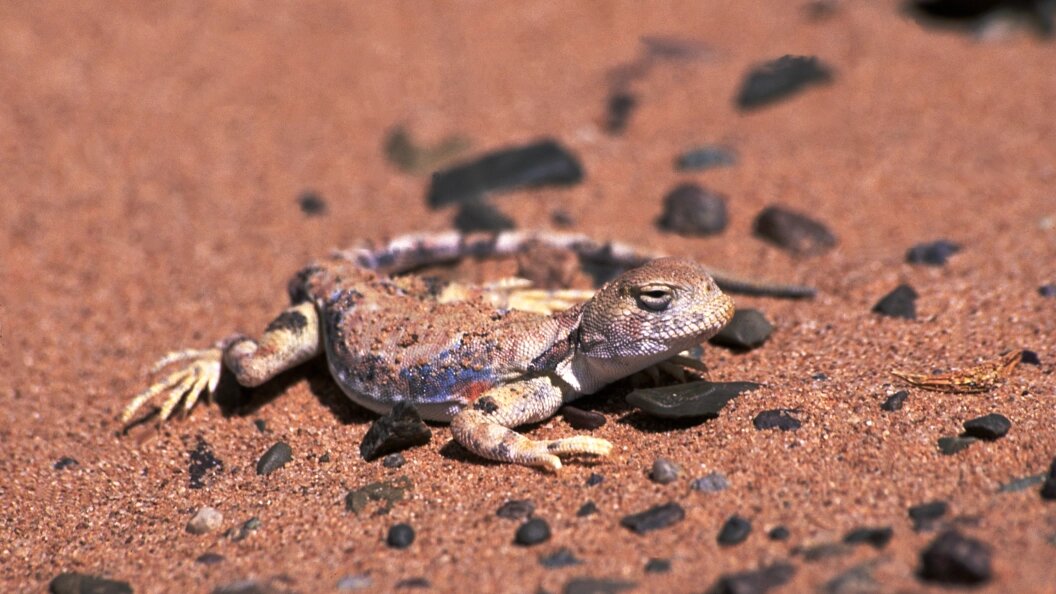    Фото: Konstantin Mikhailov/Globallookpress