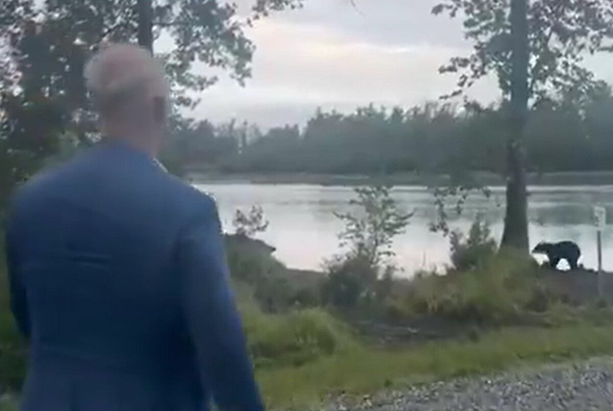     / Источник: Кадр из видео