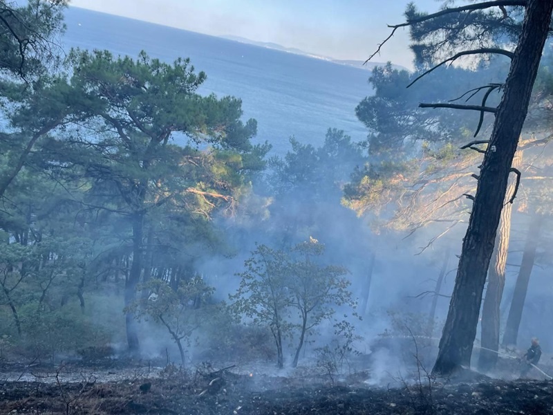    Фото: пресс-служба краевого лесопожарного центра