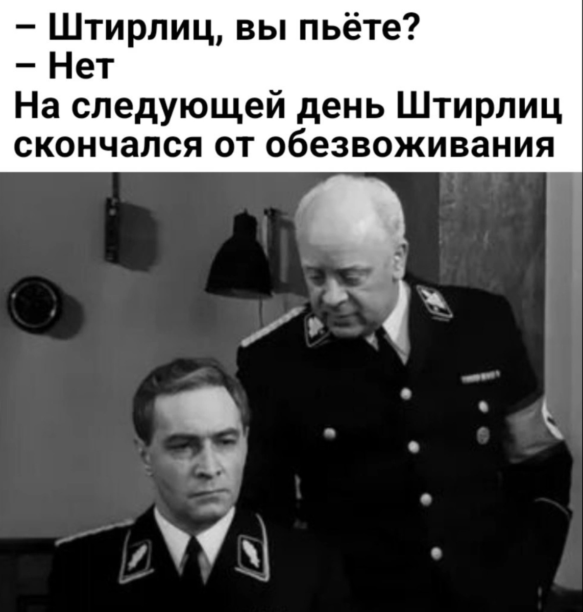 Фото взято из открытых источников интернета 