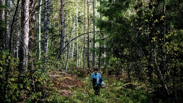    © Sputnik / Константин Чалабов