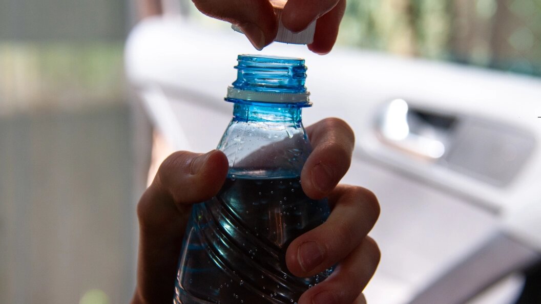    Фото: Svetlana Vozmilova/Globallookpress