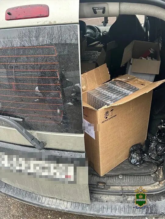    Фото: пресс-служба МВД России