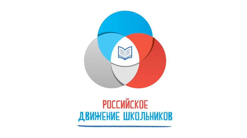    Опасные игры: как подростки попадают на поддельные сайты РДШ