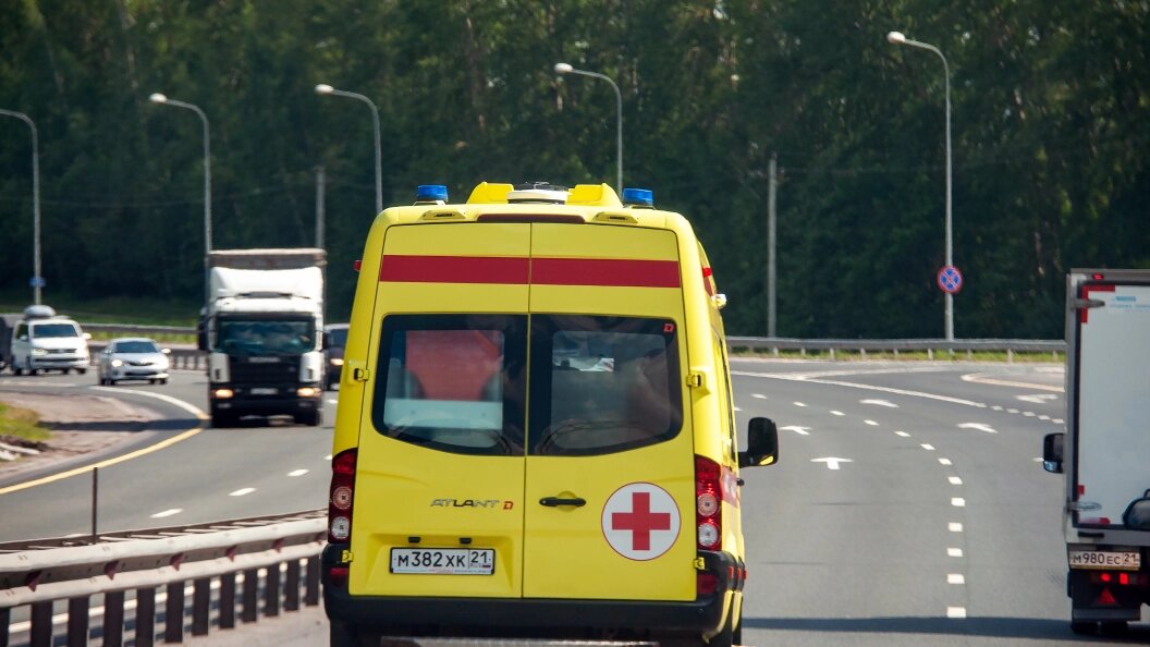    Фото: Svetlana Vozmilova/Globallookpress