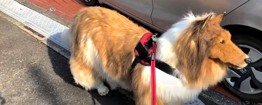 На костюм собаки потратил почти 2 млн рублей