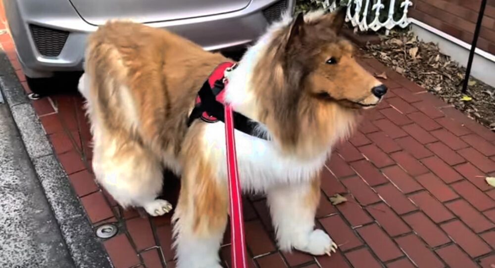 Любит гулять на улице