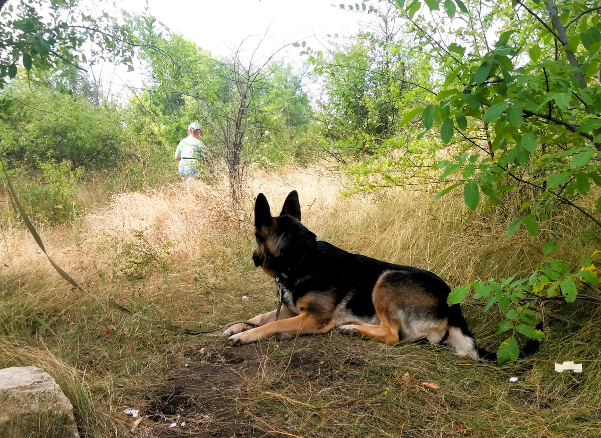 Фото автора