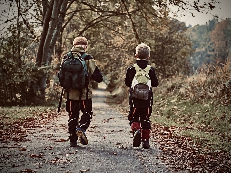 Прогулка по лесу