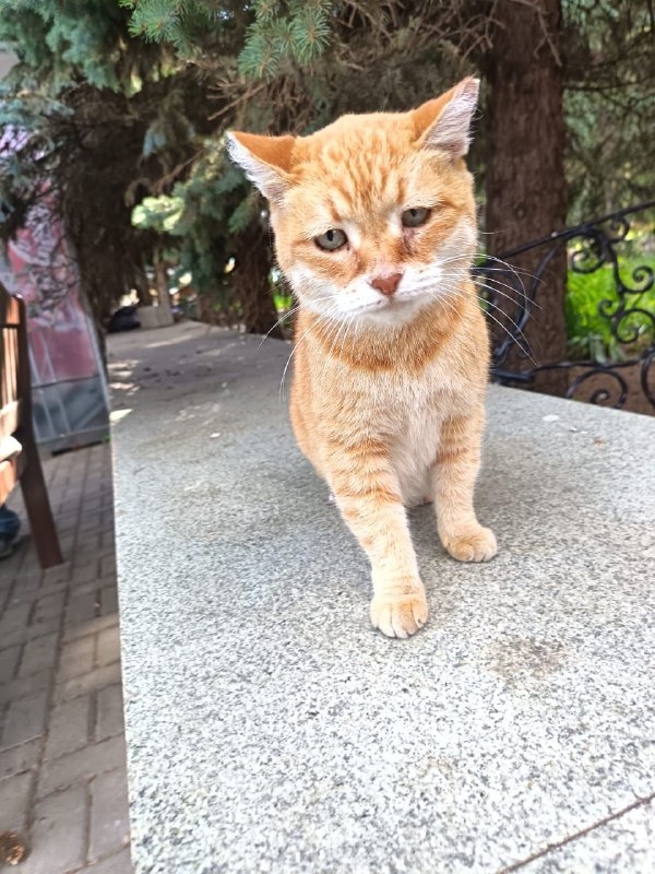 Во этом взгляде все... Фото из архива автора