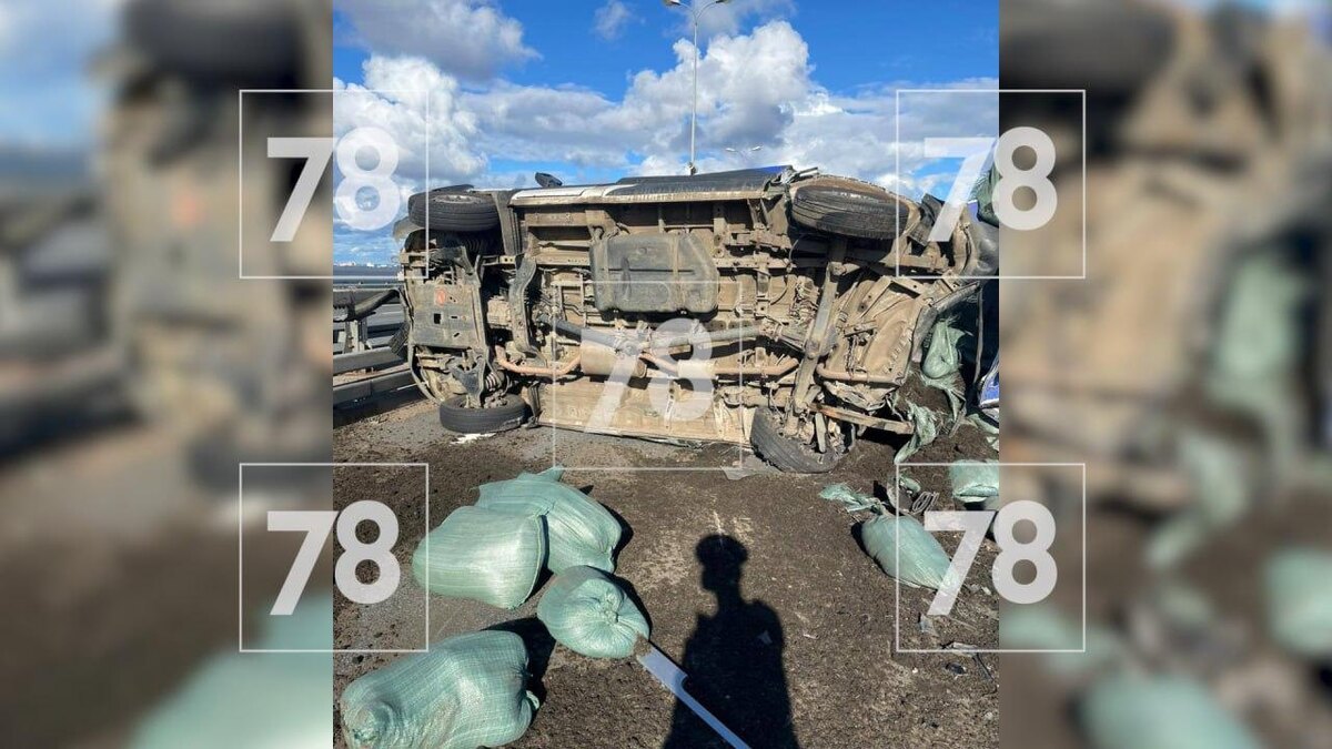    Фото: 78.ru