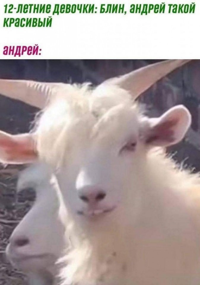 Действительно, красавец!