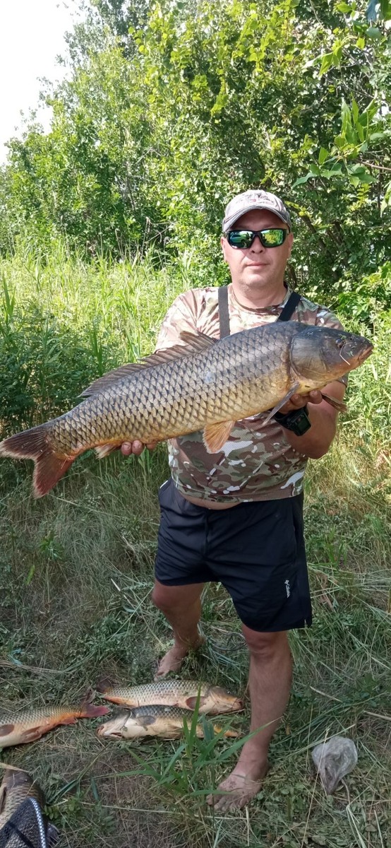 Трофейная рыбалка на дикого сазана