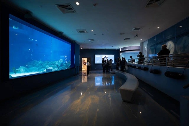   Фото: Калининград.Ru