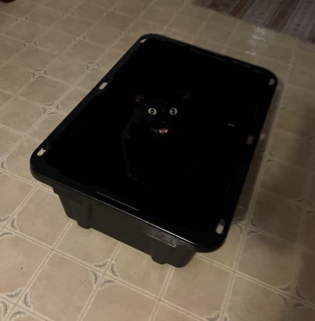 Источник: redd.it