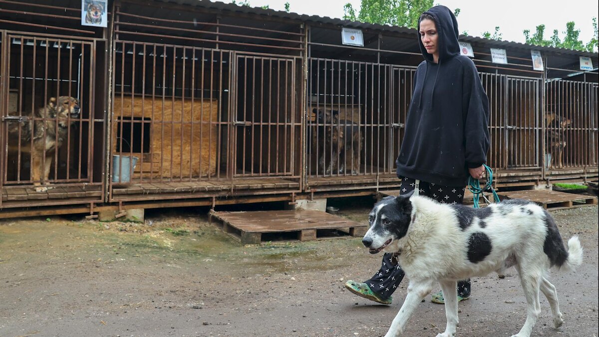    Фото: Petrov Sergey/news.ru