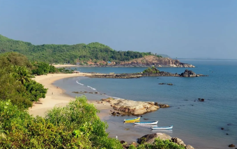 Из открытых источников.