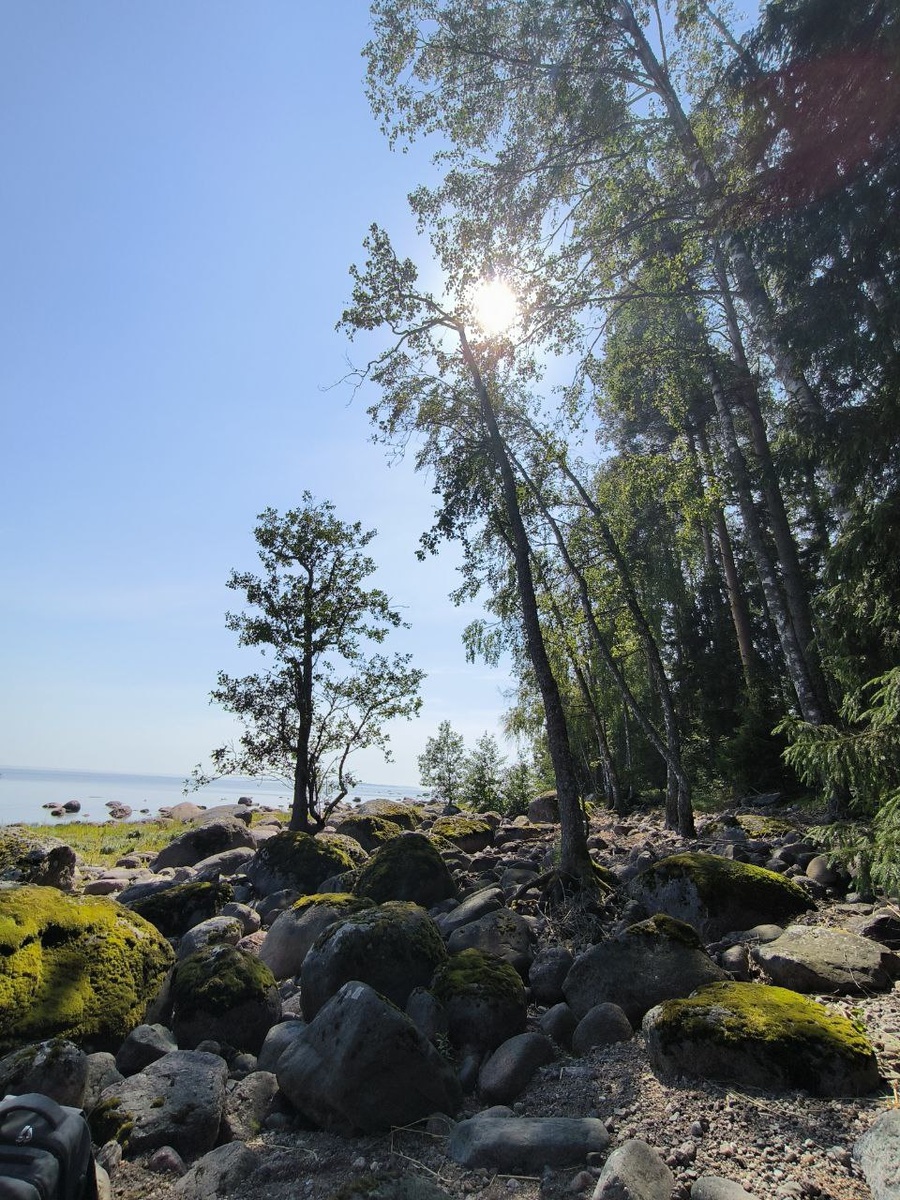 Пейзажи завораживающие