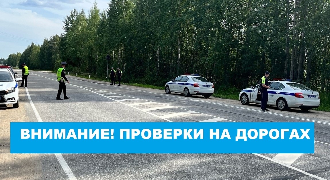    Фото: Госавтоинспекция Карелии