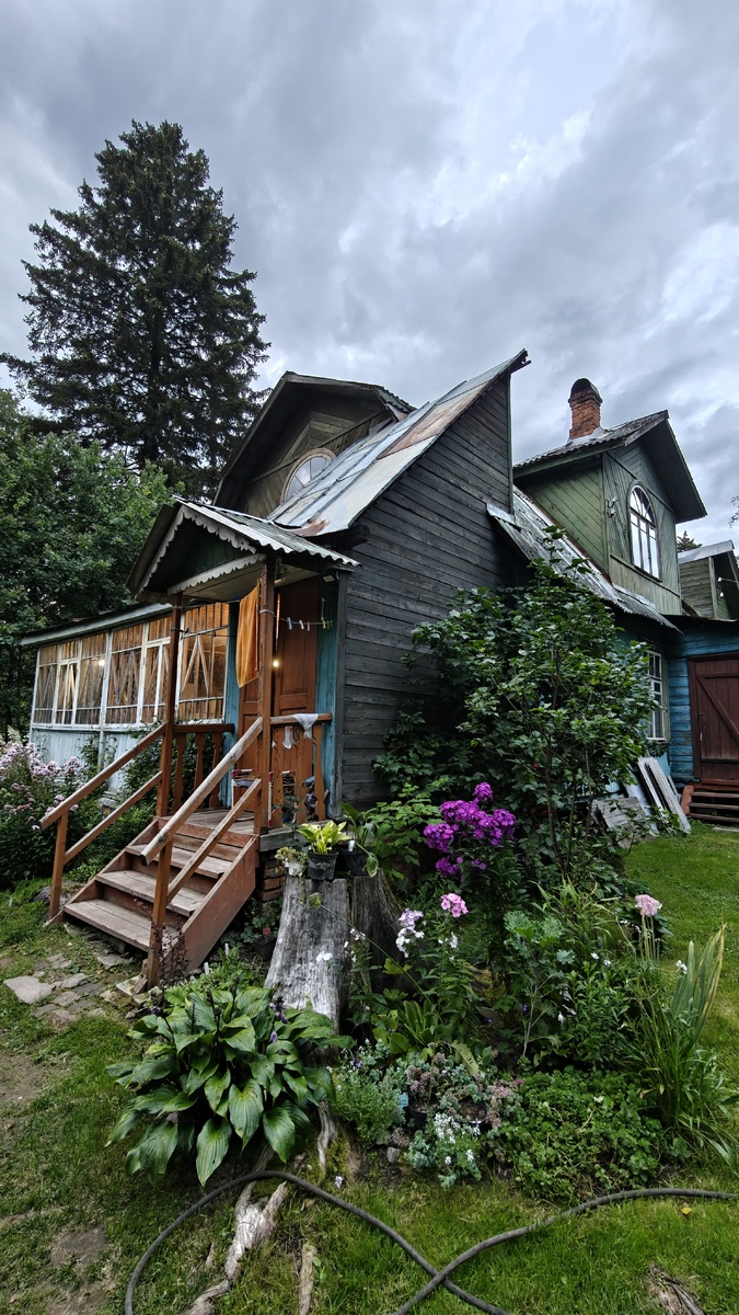 Фото автора, дача подруги