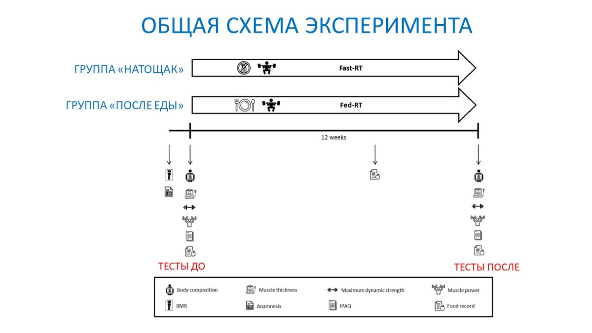 Рисунок 1. Общая схема эксперимента.
