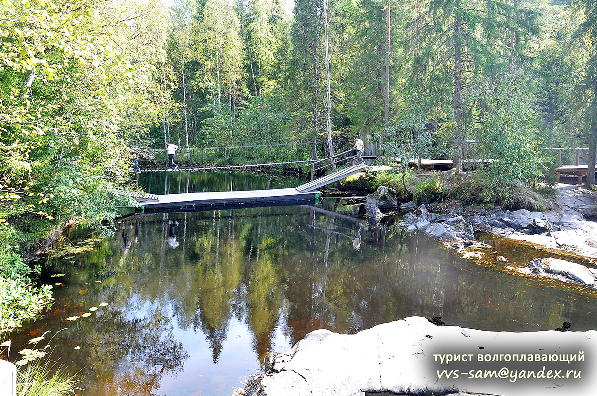 Фото 03.09.2024.