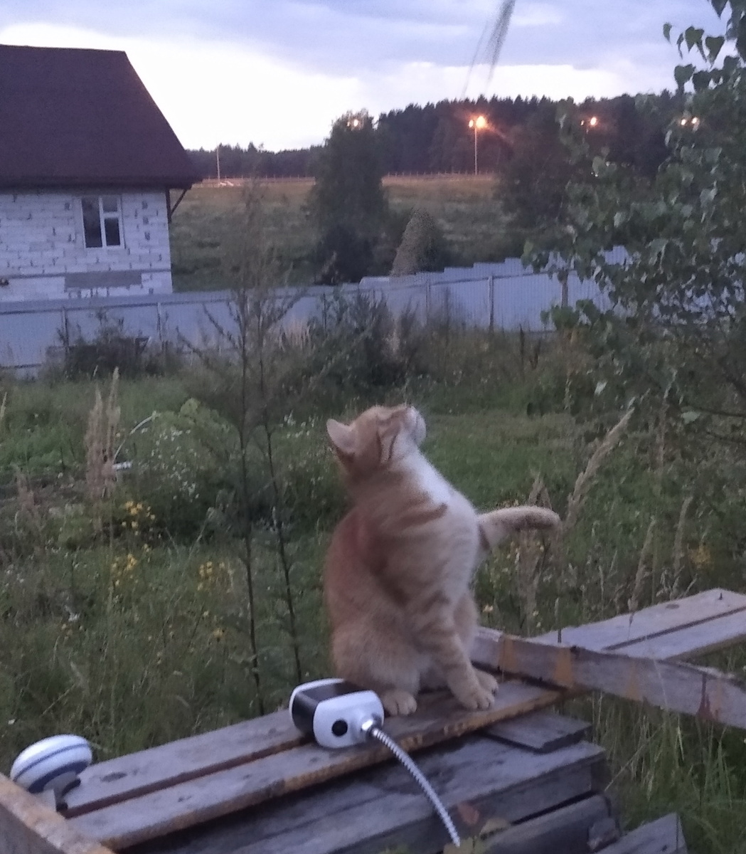 Личное фото