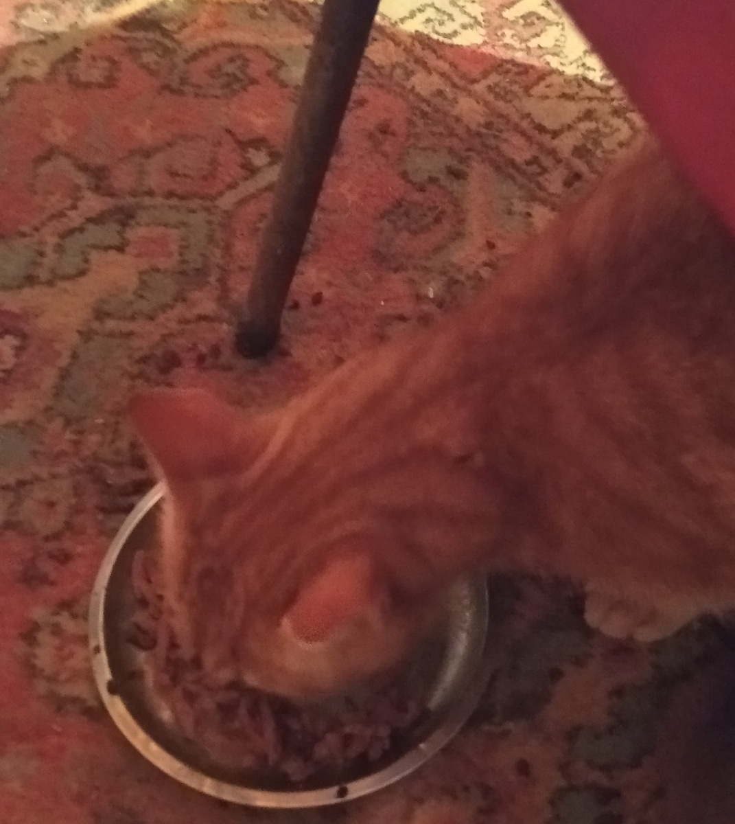 Личное фото