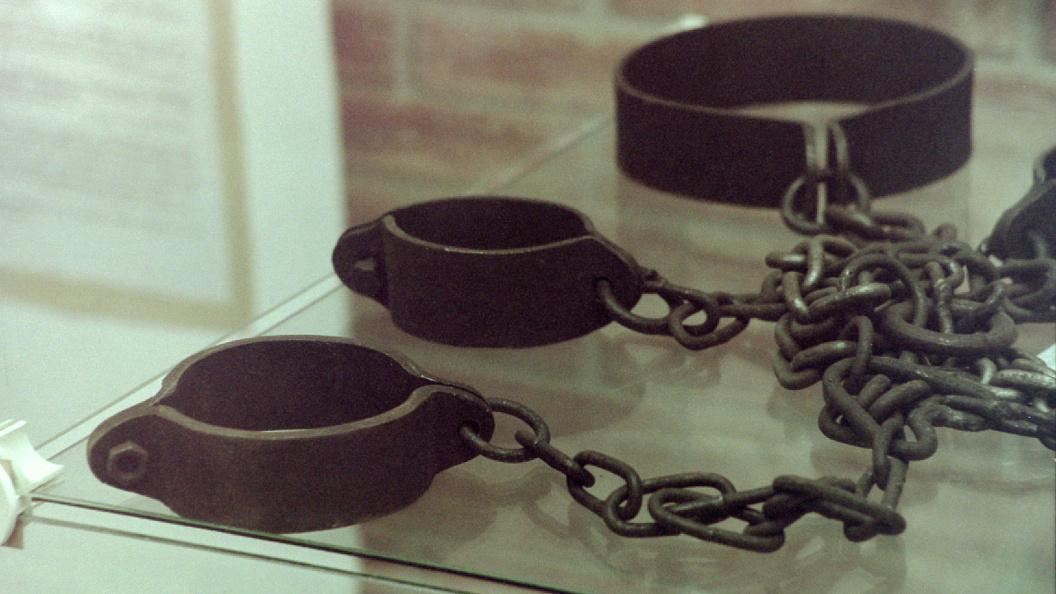    Фото: Victor Lisitsyn/Globallookpress