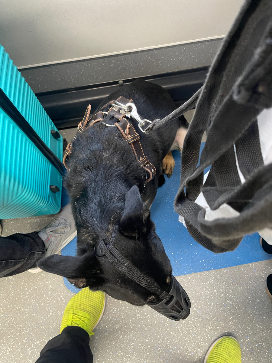 Вот тут я, собственно, и в автобусе. Не очень комфортно, конечно, но что делать? 🤷‍♂️