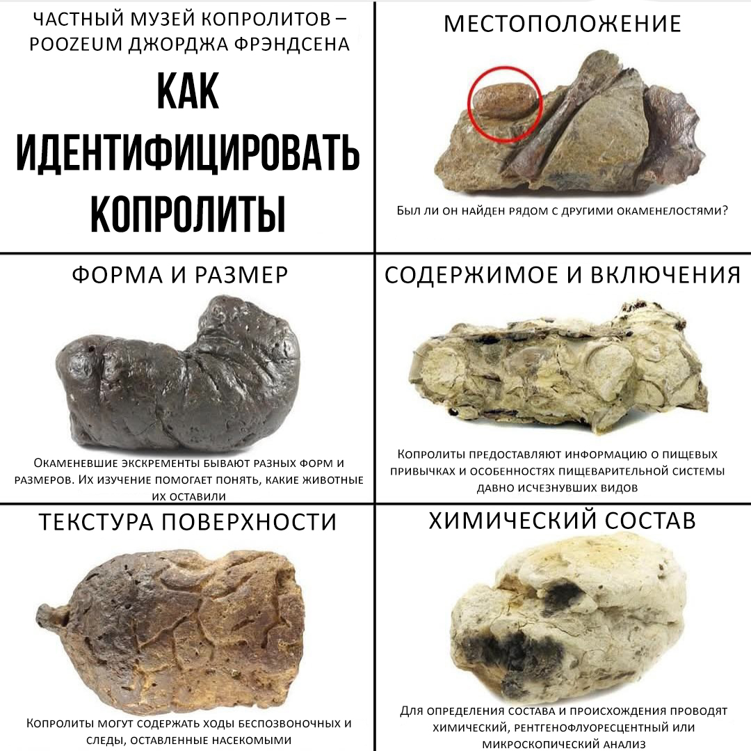 Памятка: как отличить благородный капролит от прочего ... хм... ну вы поняли