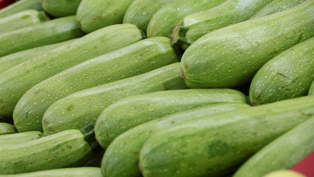    Фото: Belkin Alexey/Globallookpress