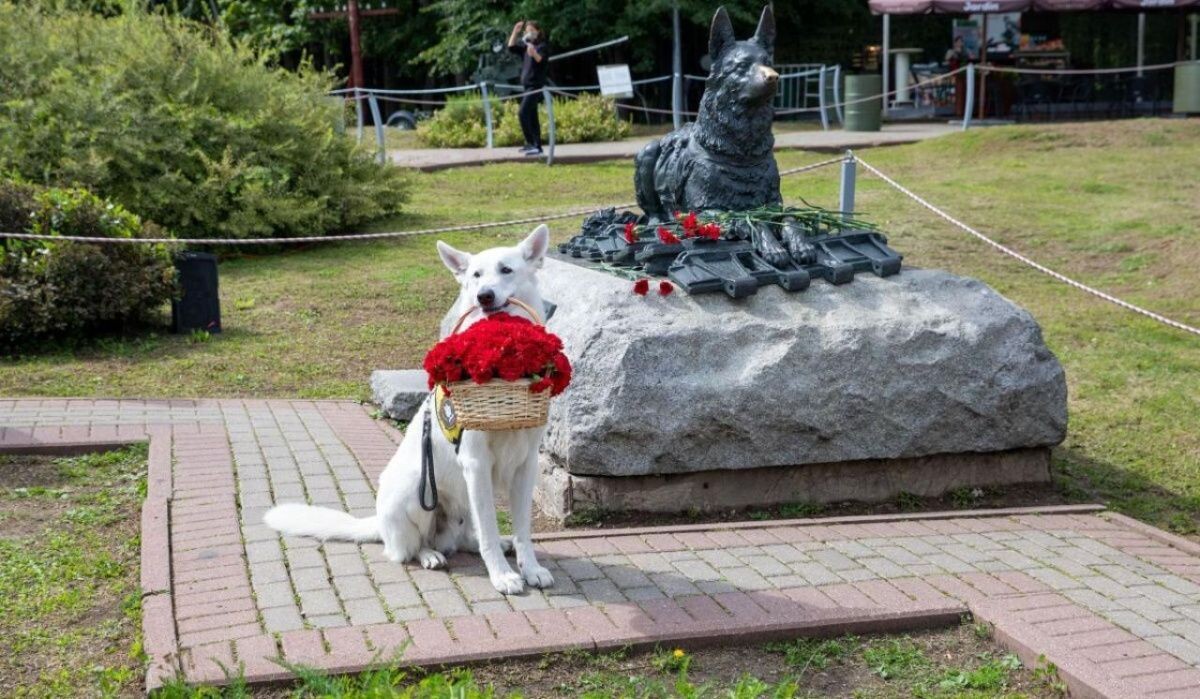     День фронтовой собаки в Музее «Г.О.Р.А.» Источник: victorymuseum.ru Автор фото: Пресс-служба Музея Победы