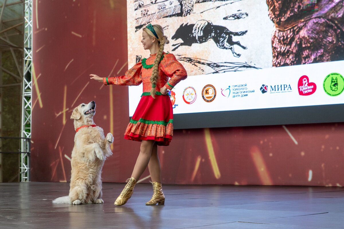    Тысячи посетителей приняли участие в семейном фестивале "День фронтовой собаки"